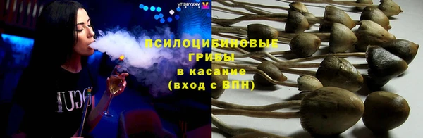 мдпв Дмитровск