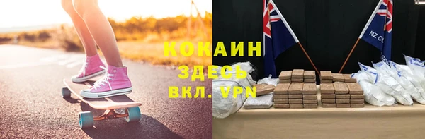 МДПВ Дмитриев