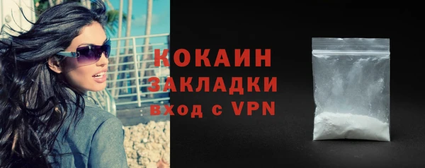 мдпв Дмитровск