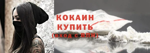 МДПВ Дмитриев