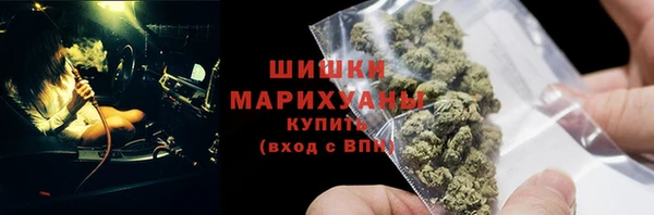 МДПВ Дмитриев