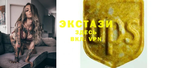 МДПВ Дмитриев