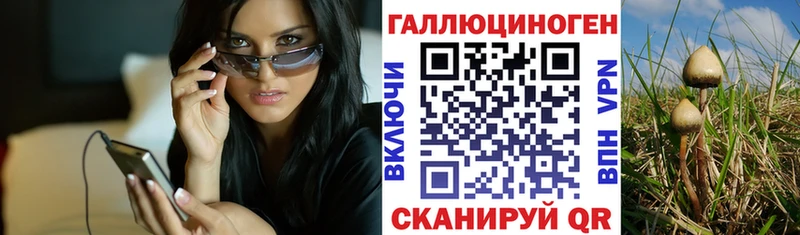 Купить  Казань  Галлюциногенные грибы Psilocybine cubensis 